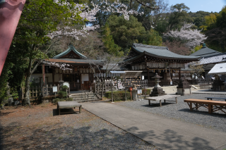 夷川社（熊野若王子神社境内社）の参拝記録(雅さん)
