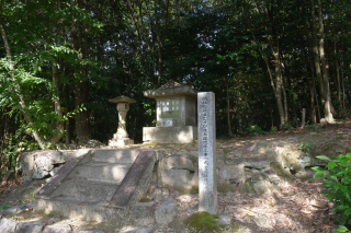 楠社(敢國神社境内社)の参拝記録(雅さん)