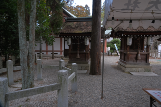 藤宮神社(建部大社境内摂社)の参拝記録(雅さん)