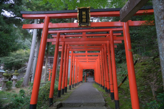 楓稲荷神社（伊奈波神社境内）の参拝記録2