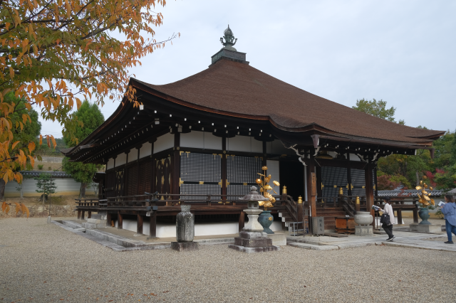 仁和寺 御影堂の参拝記録(雅さん)
