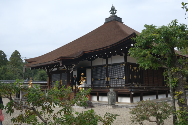 仁和寺 御影堂の参拝記録(雅さん)