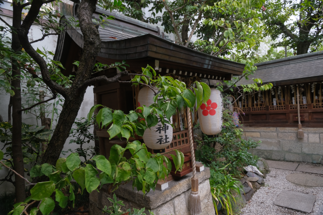 白太夫神社(錦天満宮)の参拝記録(雅さん)