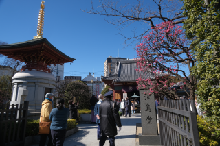 浅草寺 淡島堂の参拝記録4