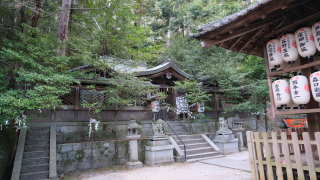 樹下稲荷大明神(八神社 境内社)の参拝記録(雅さん)