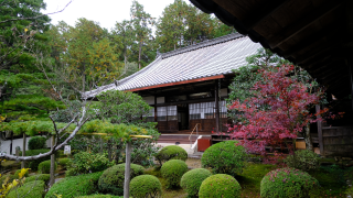 安養寺の参拝記録(雅さん)