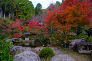 善水寺の参拝記録(雅さん)