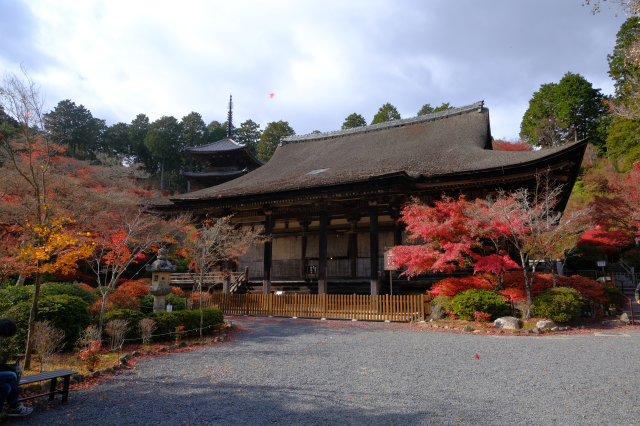 常樂寺の参拝記録2