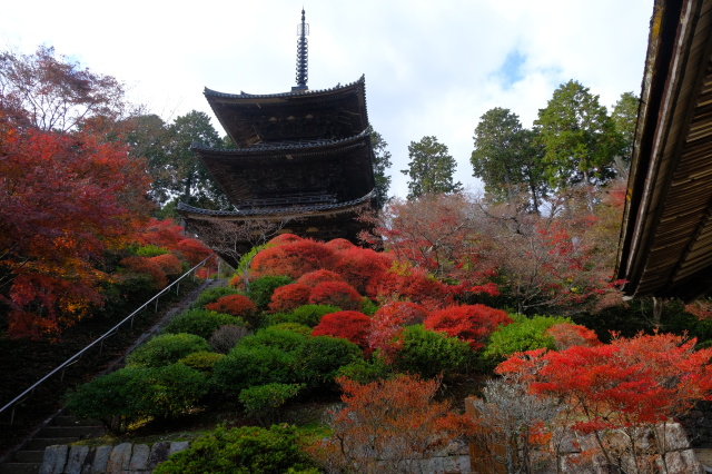 常樂寺の参拝記録(雅さん)