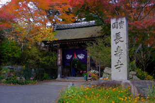 長寿寺の参拝記録3
