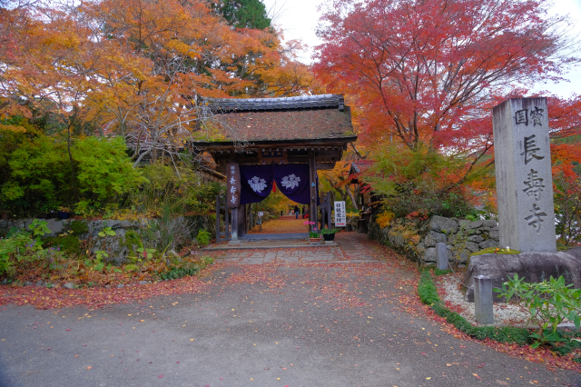 長寿寺の参拝記録3