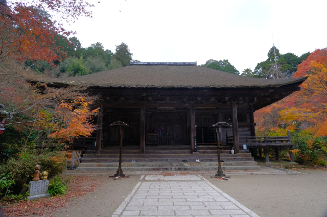 長寿寺の参拝記録(雅さん)