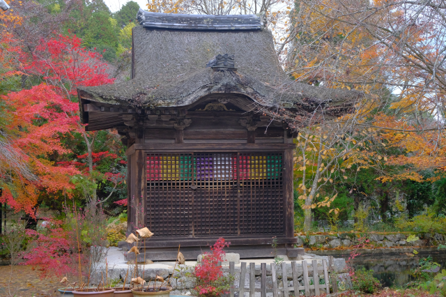 長寿寺の参拝記録(雅さん)
