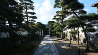 聖衆来迎寺の参拝記録(雅さん)