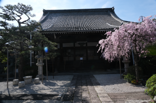 光徳寺の参拝記録(雅さん)