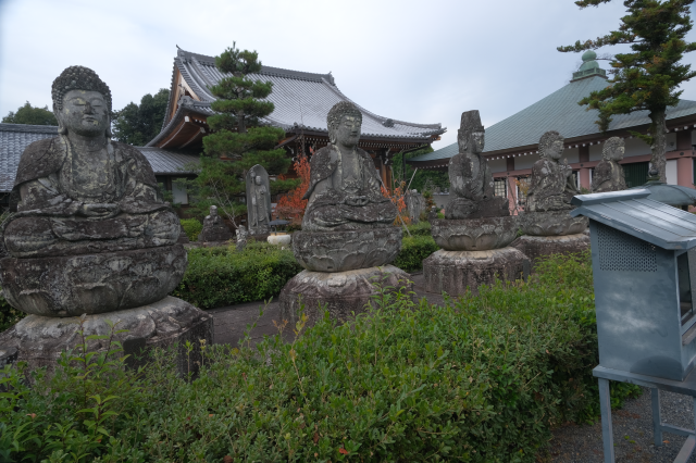 蓮華寺の参拝記録3