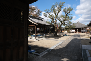 道明寺の参拝記録(雅さん)