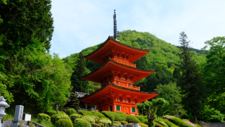 長福寺の参拝記録(雅さん)