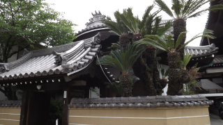 浄泉寺の参拝記録(雅さん)