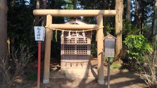 松尾神社(水戸八幡宮境内)の参拝記録(珍奇男さん)