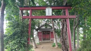 一本松稲荷神社の参拝記録(珍奇男さん)