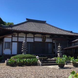 大高善光寺•海岸寺の参拝記録(ワヲンさん)