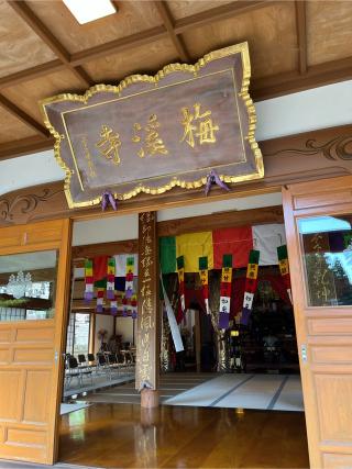 梅渓寺の参拝記録(炙さん)