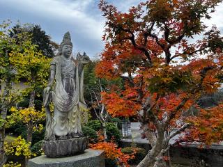梅渓寺の参拝記録(ユータさん)