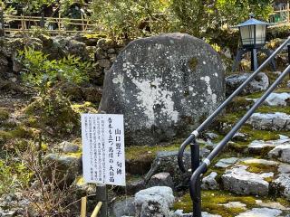 聖寳寺の参拝記録(あまぞんさん)