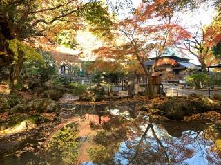 聖寳寺の参拝記録(くーさん)