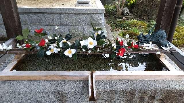 広禅寺の参拝記録6