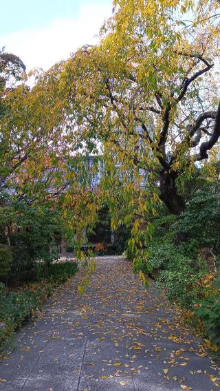 徳泉寺の参拝記録(ひろ神社仏閣さん)