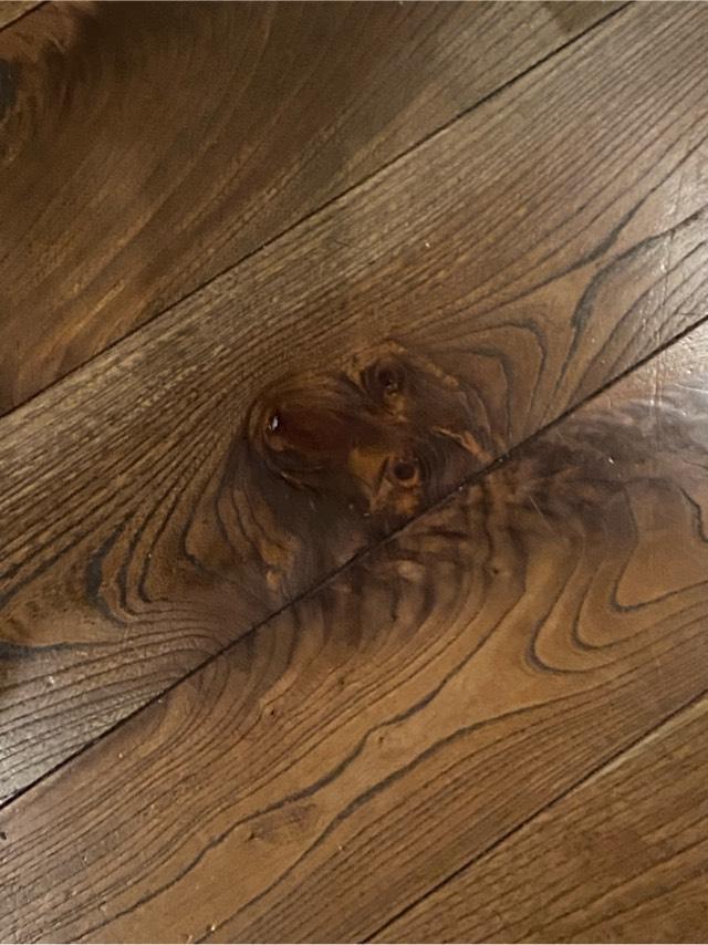 松尾観音寺の参拝記録2