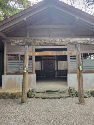 太江寺の参拝記録(にゃんこさん)