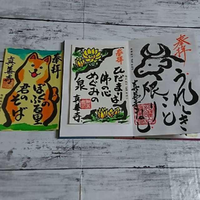 真善寺の参拝記録8