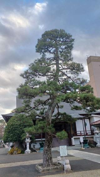 妙音院の参拝記録(ＦÙKUさん)