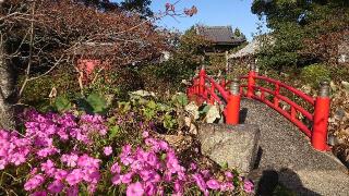 延命院朝田寺の参拝記録(まさやんさん)