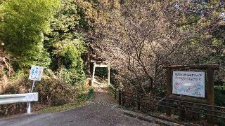 丹生山 近長谷寺の参拝記録(まさやんさん)