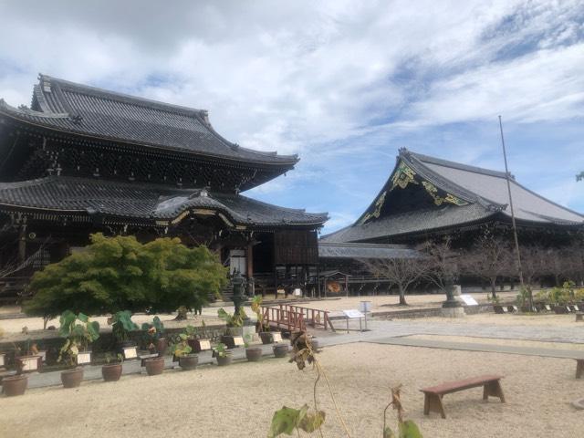 高田山 専修寺の参拝記録5