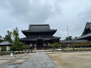 高田山 専修寺の参拝記録(あまぞんさん)