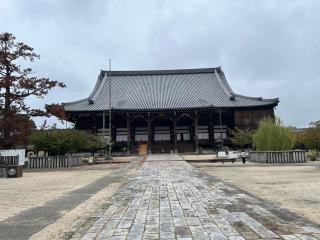 高田山 専修寺の参拝記録(あまぞんさん)