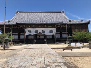 高田山 専修寺の参拝記録(礼さん)