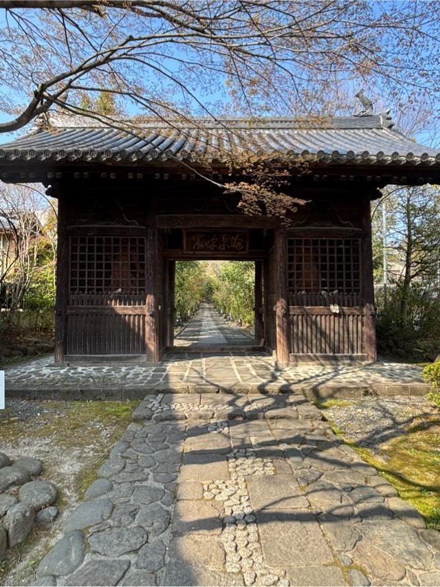 金剛寳山 輪王寺の参拝記録8