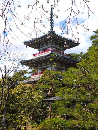 金剛寳山 輪王寺の参拝記録(ぶちさん)