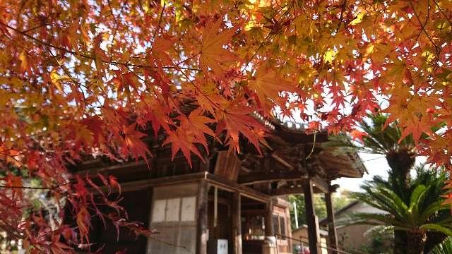 観音寺の参拝記録6