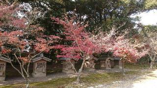 観音寺の参拝記録(まさやんさん)