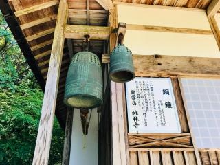 龍雲山 桃林寺の参拝記録(ふうりんパパさん)