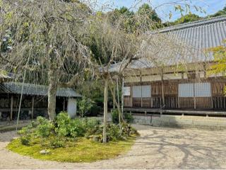 龍雲山 桃林寺の参拝記録(qo_opさん)