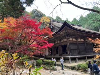 金剛輪寺　明寿院の参拝記録(けんけんさん)