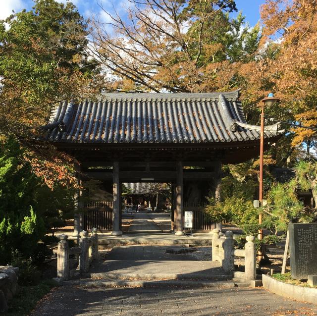 向源寺(渡岸寺観音堂)の参拝記録10